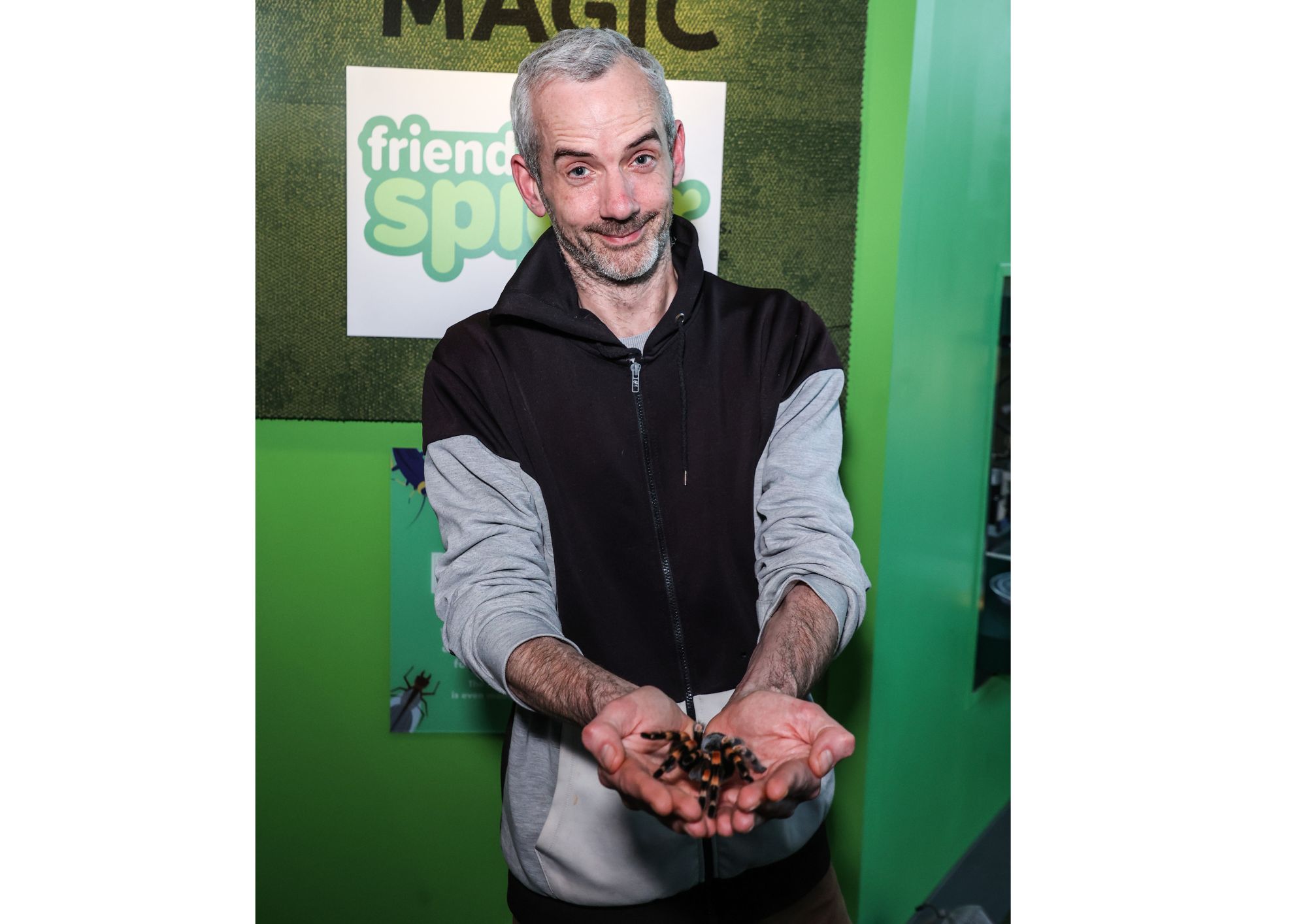 Me and my new eight-legged friends… have I beaten arachnophobia? Tom Foot