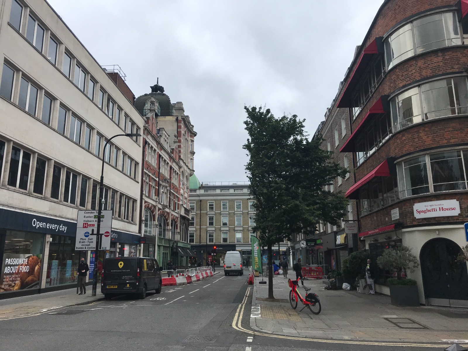 ‘They look ridiculous!’: Goodge Street trees get a half-and-half chop cnjpicjuly1 Image 2021-07-01 at 08.10.45 (1)