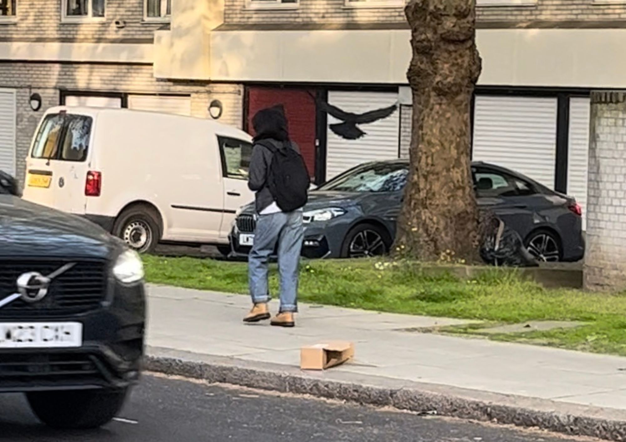 ‘It’s happening 20 times a day!’: Crows attack people with long hair in Gospel Oak crow (1)