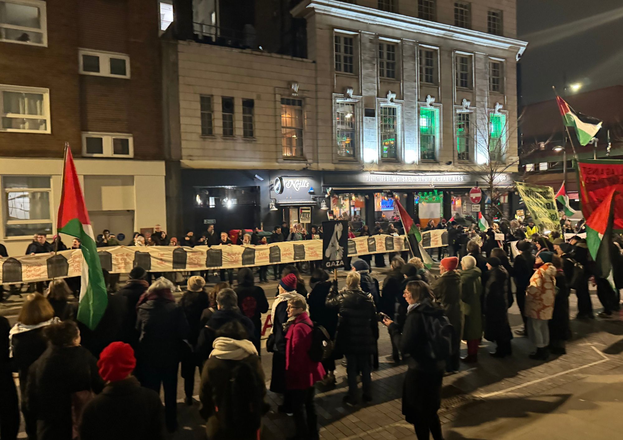 Mayor locks up public gallery as Gaza demo surrounds Town Hall gaza protest
