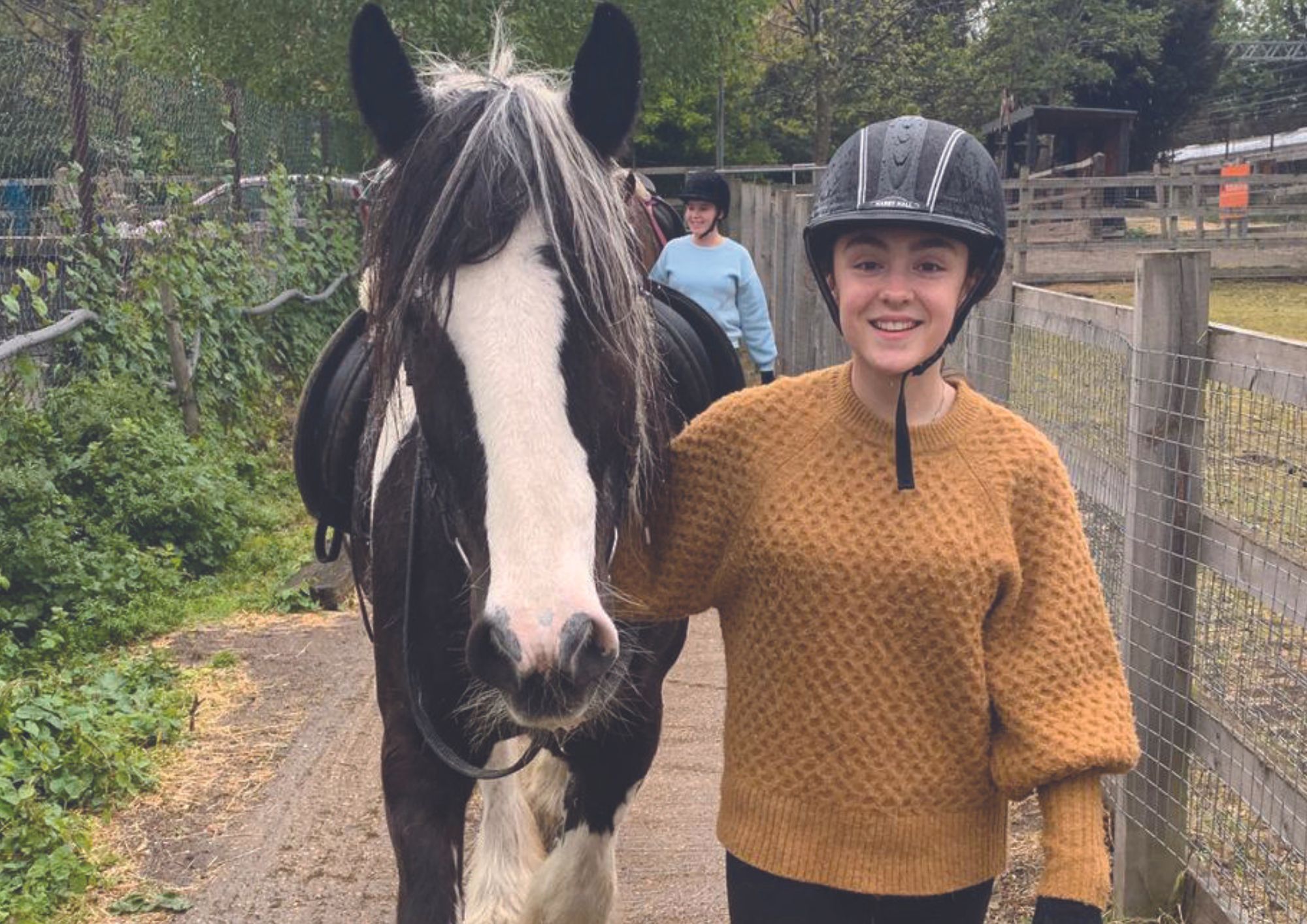 Rest In Peace Murphy, the horse loved by generations of visitors to Kentish Town City Farm horse murphy