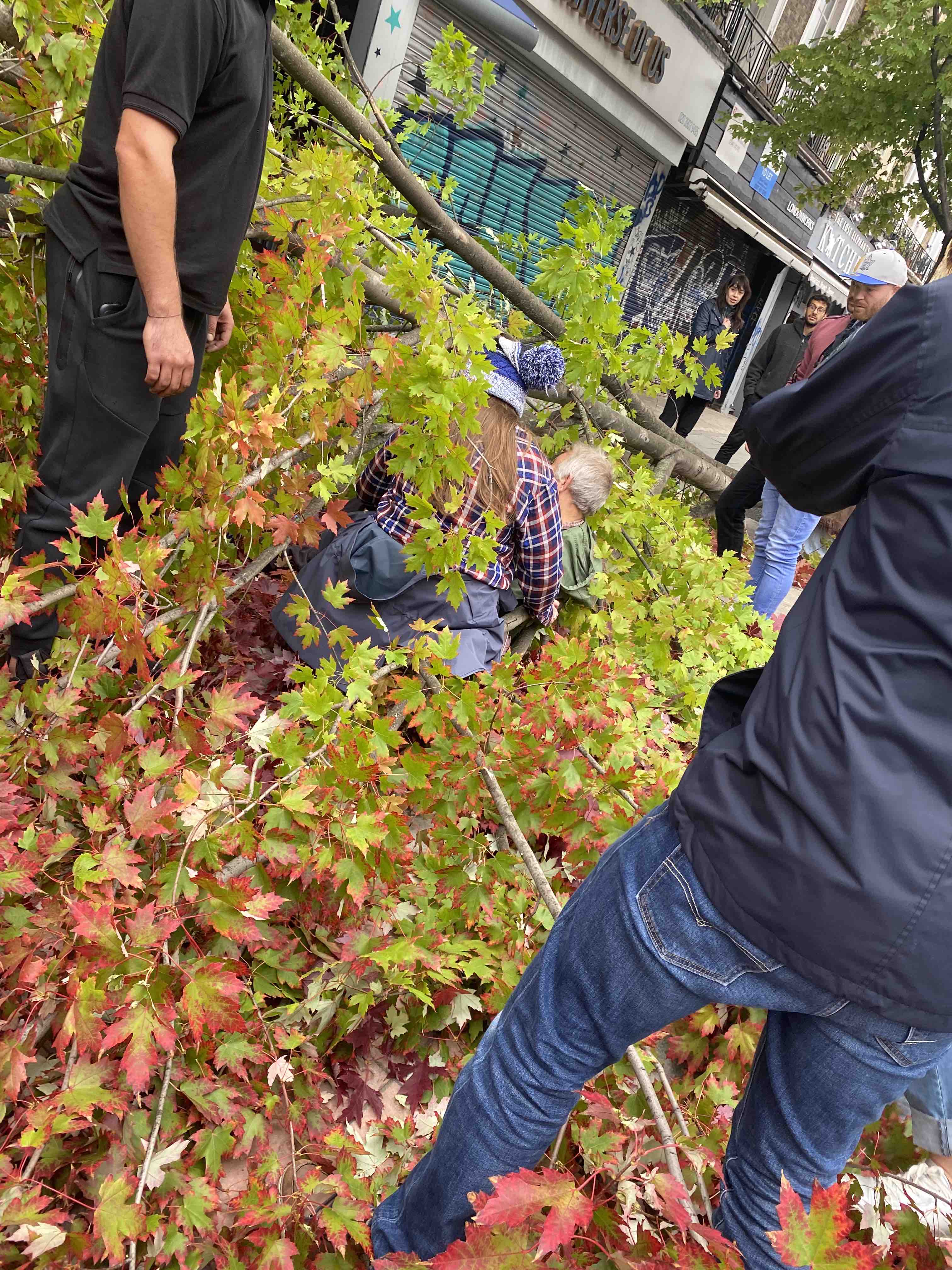 Man taken to hospital after branch collapses IMG_0825