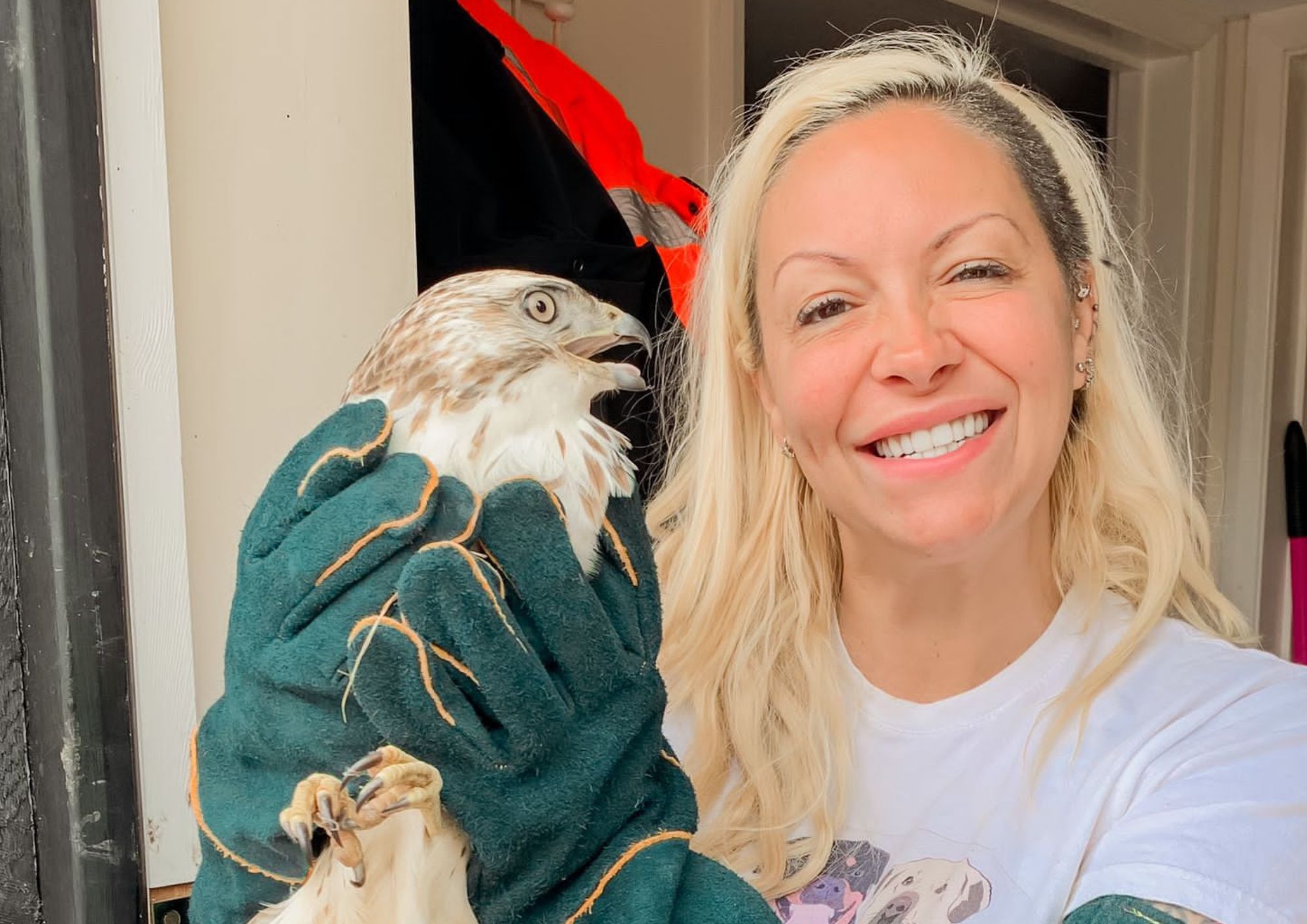 Brian the buzzard is rescued in the street (and now he’s living with Jodie Marsh) jodie marsh buzzard (1)