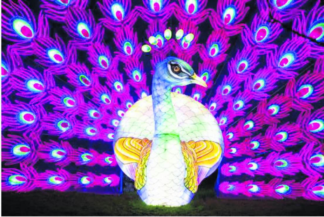 Lightopia Makes London Debut Lightopia