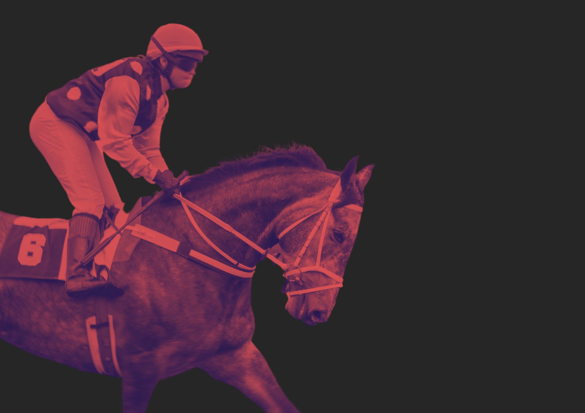 Cost-of-living sees rise in gamblers desperately trying to win money to pay bills horse racing gambling