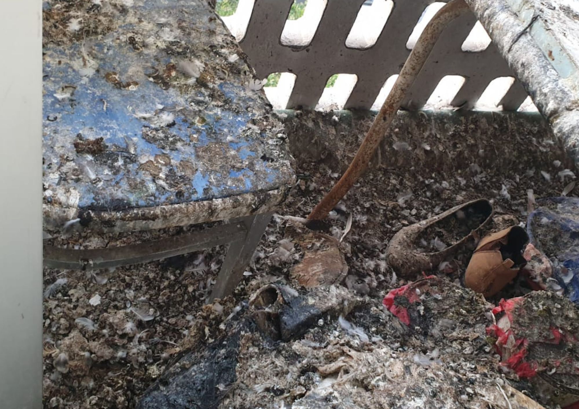 ‘I won’t pay a penny more rent until my balcony’s pigeon poo problem is fixed’ pigeon poo (1)