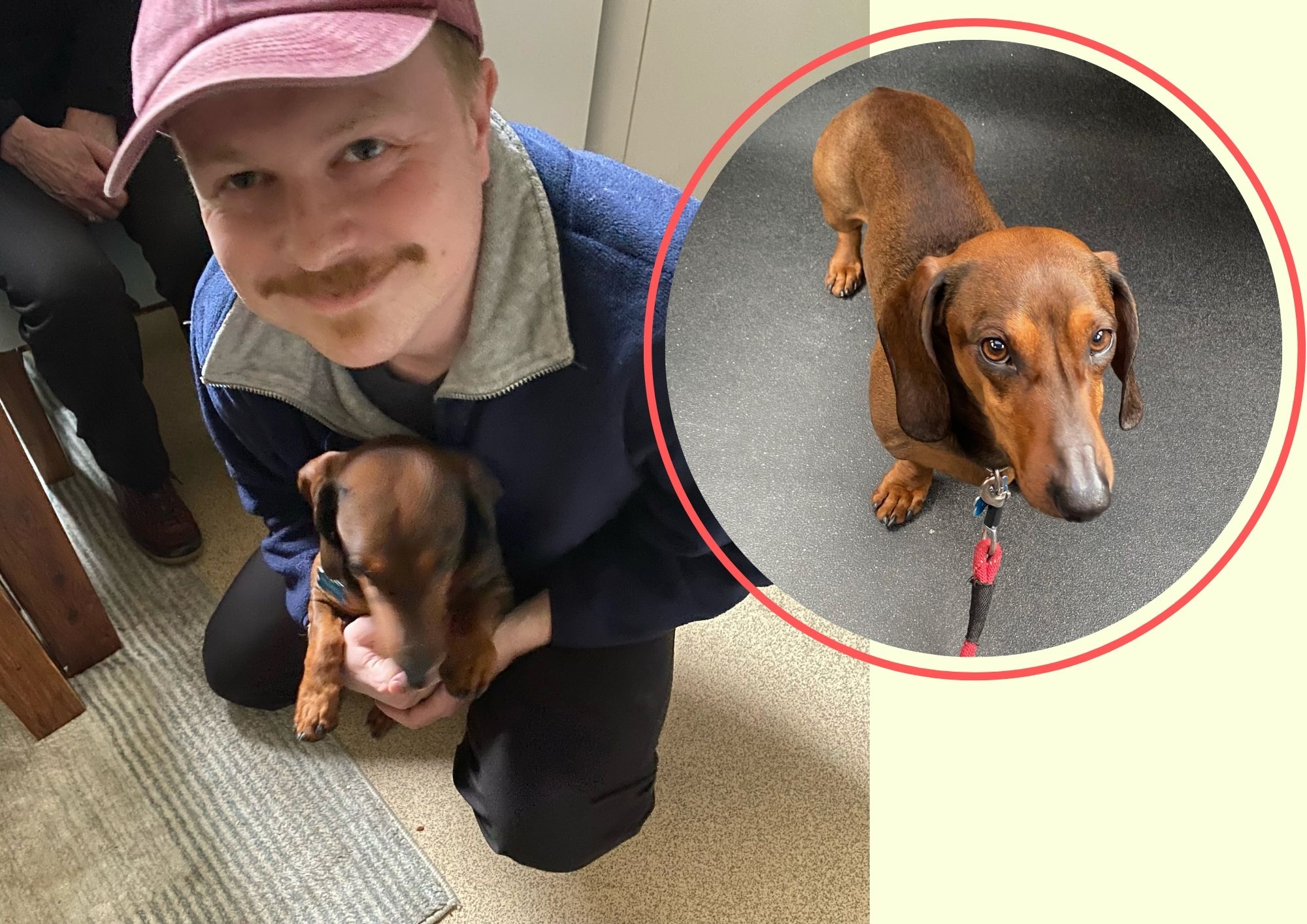 Missing sausage dog is found 10 miles away pluto