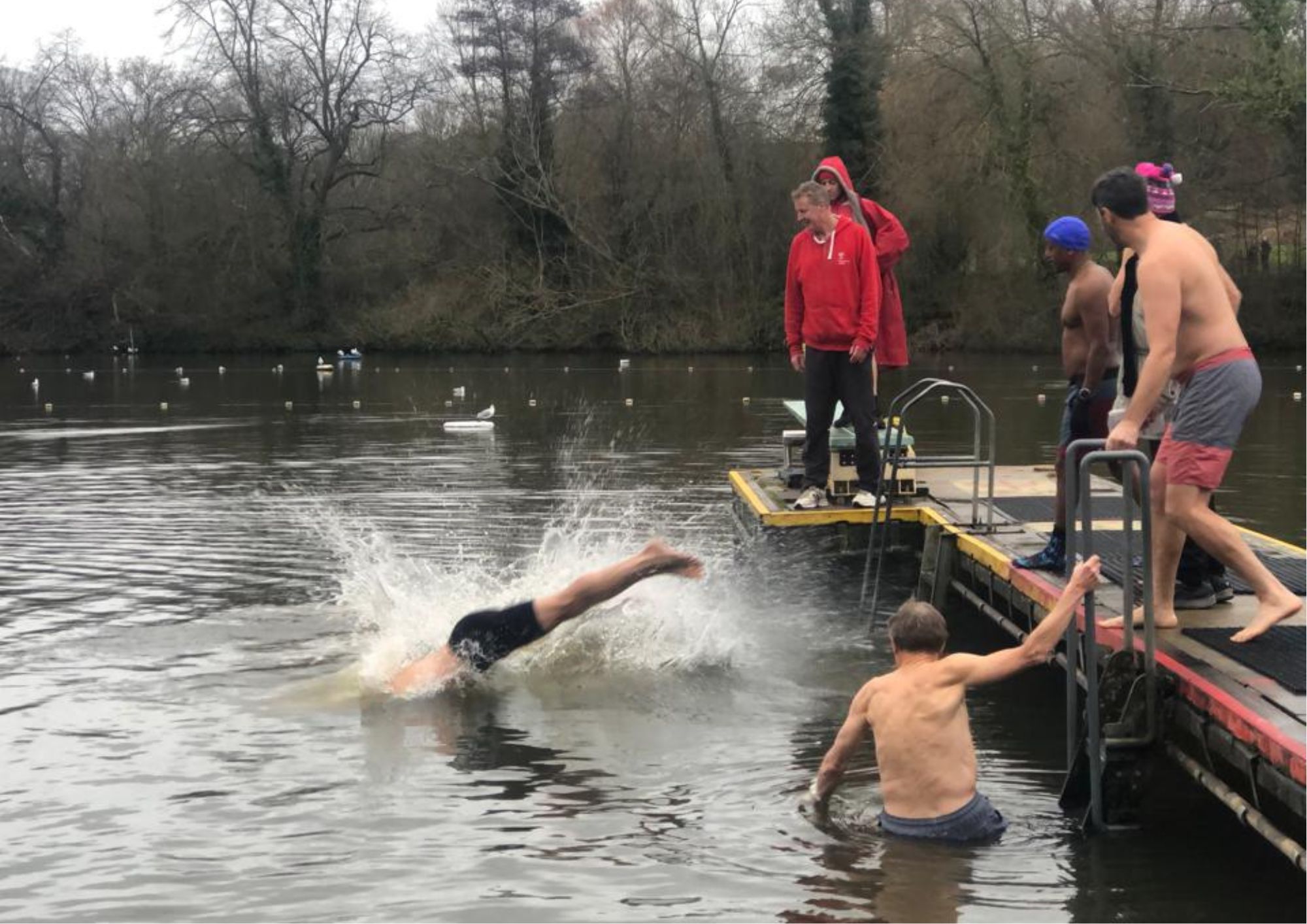 Christmas Day and surely there was only one place to be – in the pond! ponds (10)