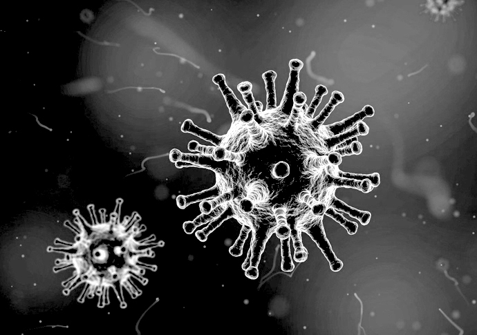 Coronavirus: What is changing? virus black